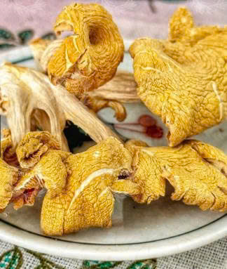 Nấm mỡ gà